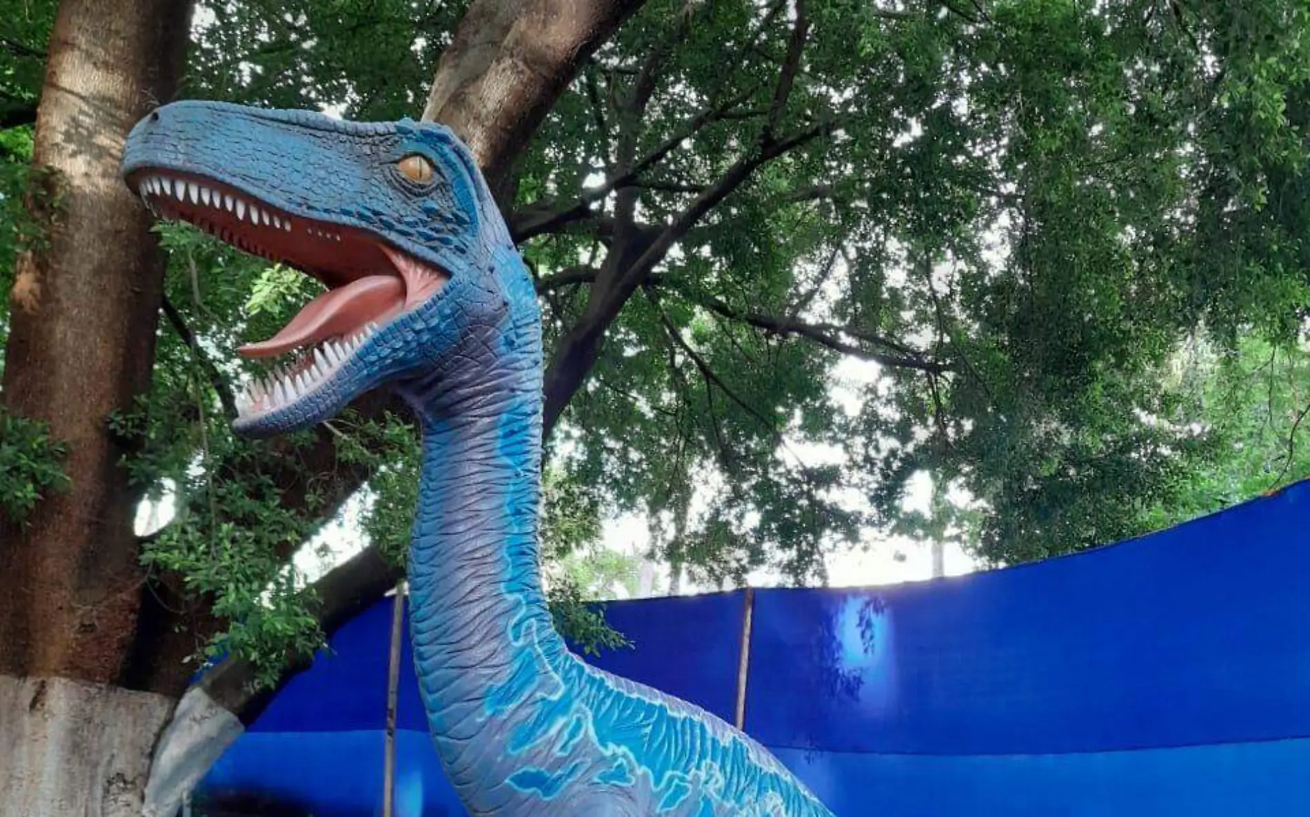 dinosario azul